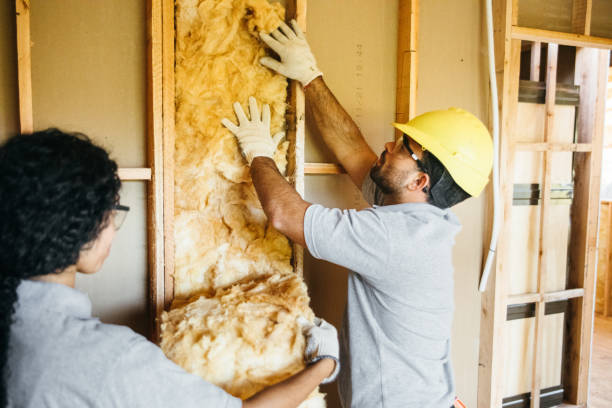 Best Professional Insulation Contractor  in Silver Lakes, CA